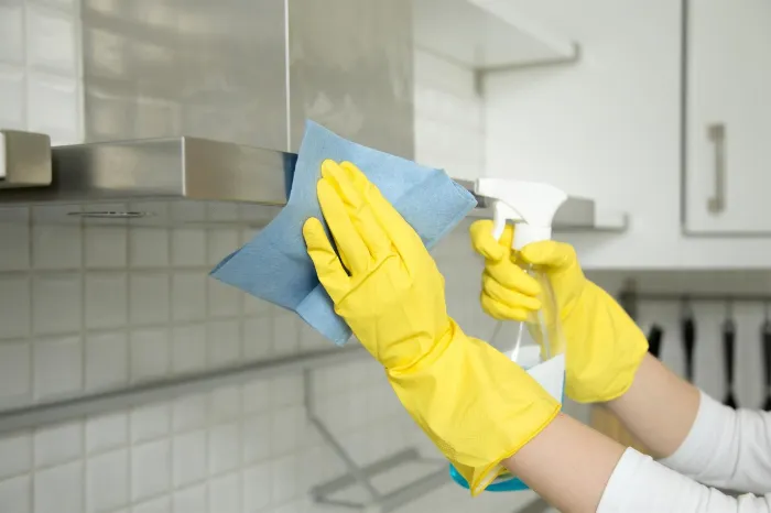 Kitchen Cleaning Kitchen Cleaning